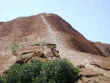 Uluru_climb_50.jpg (51335 bytes)